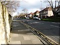 NZ2861 : Sunderland Road Villas, Heworth, looking south-east by Christine Johnstone