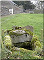 ST7675 : A small and mossy spring by Neil Owen