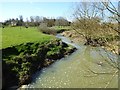 SP2447 : River Stour at Crimscote by Philip Halling