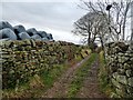 NY6826 : Walled track on the south side of Priests Garden by Christine Johnstone