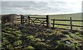 NZ1512 : Asymmetric field gates, south side, Greenless Lane by Christine Johnstone