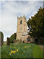 SK1544 : Spring flowers at the Church of St John the Baptist by Graham Hogg