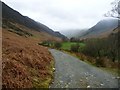 NY2318 : Public footpath, east side of Newlands Beck by Christine Johnstone