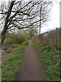 SO7975 : The riverside footpath by Richard Law