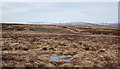 NY8618 : Moorland towards Ravensike Rigg by Trevor Littlewood