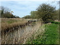 TQ7709 : Footbridge across Combe Haven by PAUL FARMER