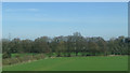 SK1509 : Crop field near Huddlesford by JThomas