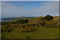 SN0437 : View north-east to the coast from Ffordd Bedd Morus, above Newport / Trefdraeth by Christopher Hilton