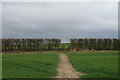 TR2655 : Claypits footpath at Twitham Hill by Hugh Craddock