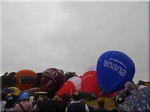 ST5571 : Bristol International Balloon Fiesta by Hamish Griffin