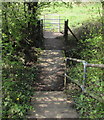 ST3093 : Steps down to a kissing gate below Llanfrechfa Way, Cwmbran by Jaggery