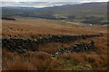 SD8289 : Ruined Sheepfold on the Flanks of Widdale Fell by Chris Heaton