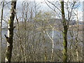 NN0567 : Loch Linnhe through the trees by M J Richardson