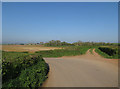 ST4731 : Bridleway from Hayes Lane by Hugh Venables