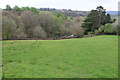 ST1899 : Field above Cwrt-y-bella Cemetery, Grwhay by M J Roscoe