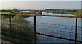 SK8379 : River Trent viewed from the Torksey Viaduct by Mat Fascione