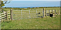 D4402 : Field gate, Ballyprior Beg, Islandmagee (May 2017) by Albert Bridge