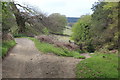 ST1890 : Track junction next to Sirhowy Valley Country Walk by M J Roscoe