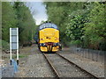 TG1001 : Class 37 locomotive on the Mid Norfolk Railway by JThomas