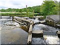 SD8164 : Weir and fish pass upstream of Settle Bridge by Rose and Trev Clough