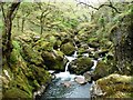 SH6842 : Waterfall on Afon Goedol, above the footbridge by Christine Johnstone