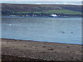 NX0767 : P&O Ferry Loading by Jon Alexander