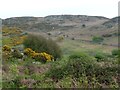 SH5438 : Open access rocky hillside, west of Ty'n y Mynydd by Christine Johnstone