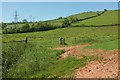 SX8558 : Fields on slopes of Windmill Hill by Derek Harper