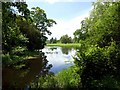 SJ9922 : The River Sow on Shugborough Estate by Graham Hogg