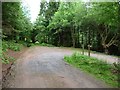 SO2926 : Track junction, northern end of Llanthony Wood by Christine Johnstone