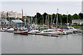 O1834 : River Liffey, Dublin Marina by David Dixon