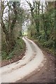 SX0169 : Lane at Polbrook by Derek Harper