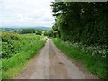 SO3427 : Church Road heading east to Rowlestone by Christine Johnstone