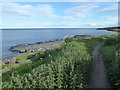 NU2519 : Northumberland Coast Path by PAUL FARMER