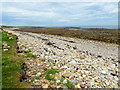 NU1341 : Beach on Holy Island by PAUL FARMER