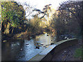 SP3677 : River Sowe beneath Sowe Viaduct, southeast Coventry by Robin Stott