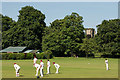 SK3516 : Cricket in the Bath Grounds, Ashby by Oliver Mills