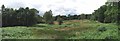 TL7706 : Lingwood Common Panorama by Glyn Baker