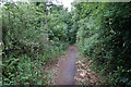 ST1337 : Footpath near Crowcombe by Bill Boaden