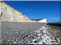 TV5596 : Chalk Cliffs at Birling Gap by PAUL FARMER