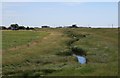 TM1012 : Borrow Dyke and Sea Wall, Lee-over-Sands by Paul Franks