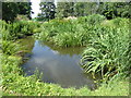 TR0660 : The Water Gardens at Mount Ephraim Gardens by Marathon