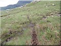 NC4448 : Deer track above Cashel Dhu near Tongue by ian shiell