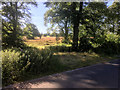 SE5106 : Farmland next to Church Lane by David Dixon