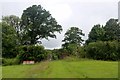  : Trees around Cleanhill by Alan Reid