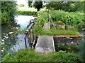 SP1504 : Sluice on the River Coln at Quenington by Oliver Dixon