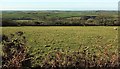 SX1080 : Sheep pasture above Trewint by Derek Harper