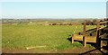 SX0879 : Field near Helsbury Castle by Derek Harper