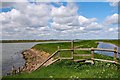 TQ9489 : High tide on Fleethead Creek by John Myers