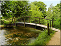 SU3327 : Footbridge over the River Test in Mottisfont Abbey Gardens by David Dixon